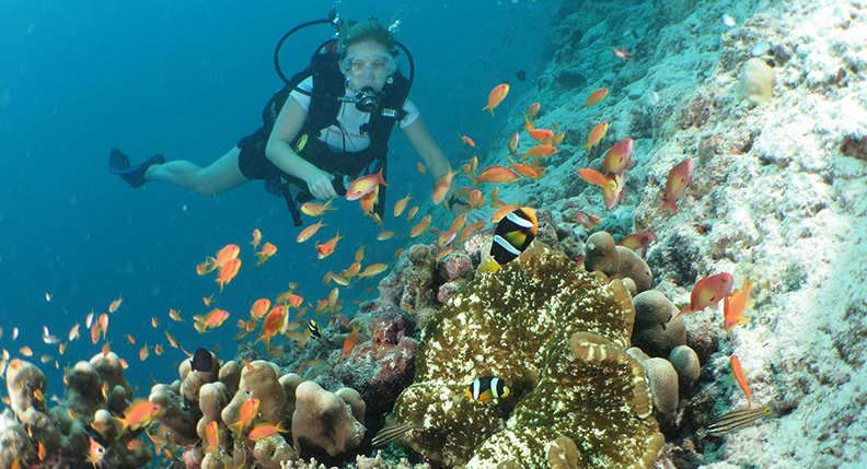 The Beautiful Maldives: Exquisite Landscapes and Diving Paradises